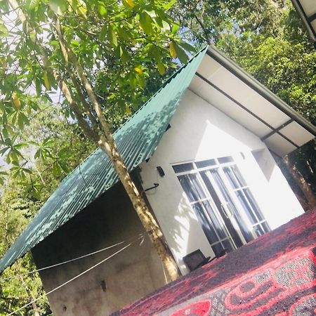 Little Wood Villa And Retreats Doluwa Kandy Exterior photo
