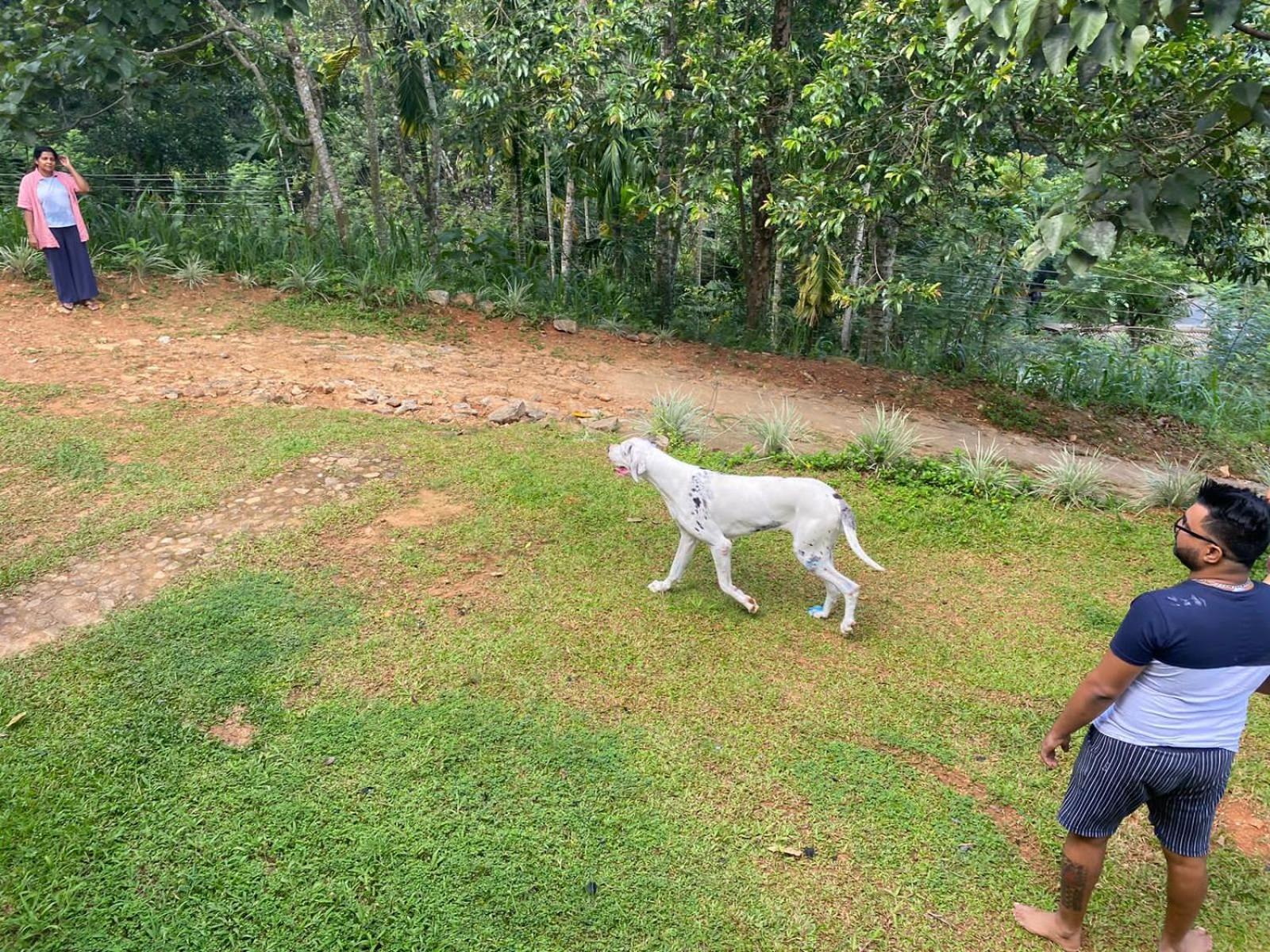 Little Wood Villa And Retreats Doluwa Kandy Exterior photo